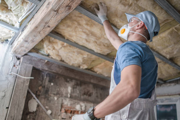 Best DIY Insulation Kits and Guidance in Sho Creek, AL